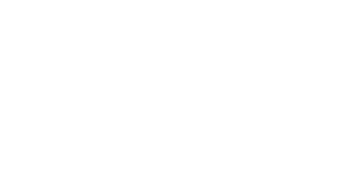 Momentum Law